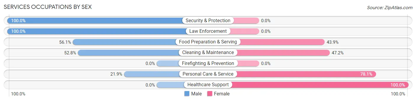 Services Occupations by Sex in Zip Code 60954
