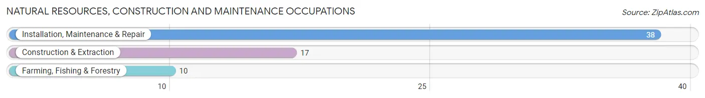 Natural Resources, Construction and Maintenance Occupations in Zip Code 60959