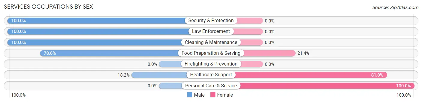 Services Occupations by Sex in Zip Code 60960