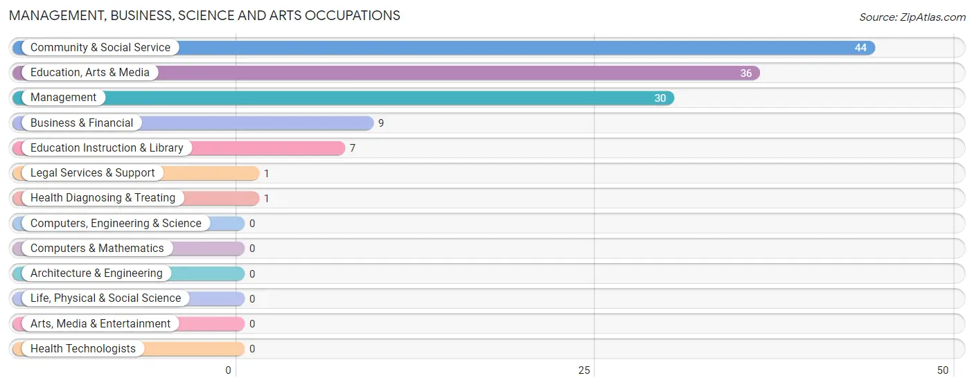 Management, Business, Science and Arts Occupations in Zip Code 60962