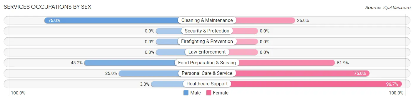 Services Occupations by Sex in Zip Code 60966