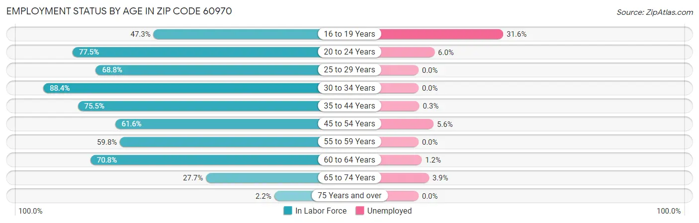 Employment Status by Age in Zip Code 60970