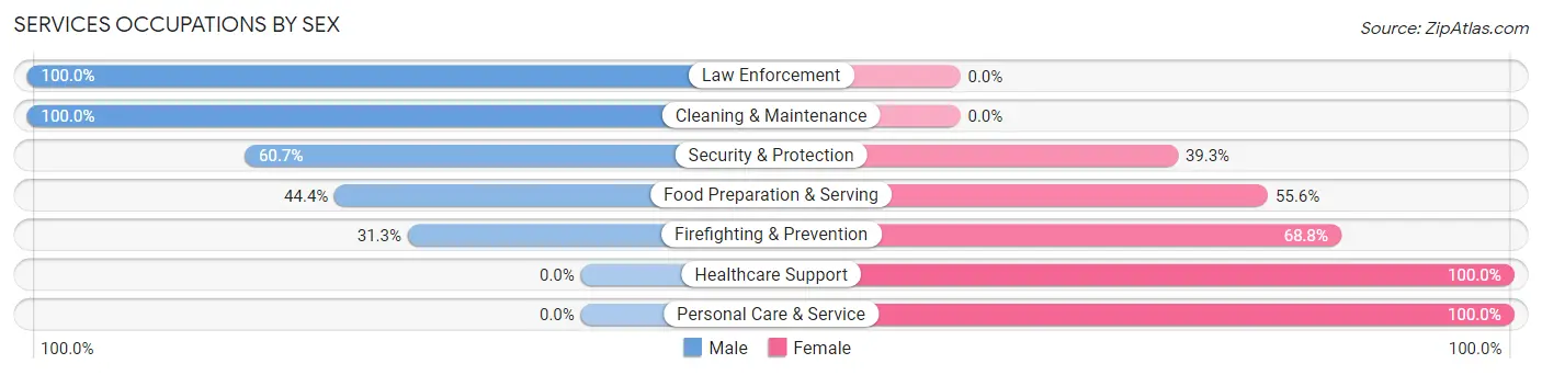 Services Occupations by Sex in Zip Code 61031