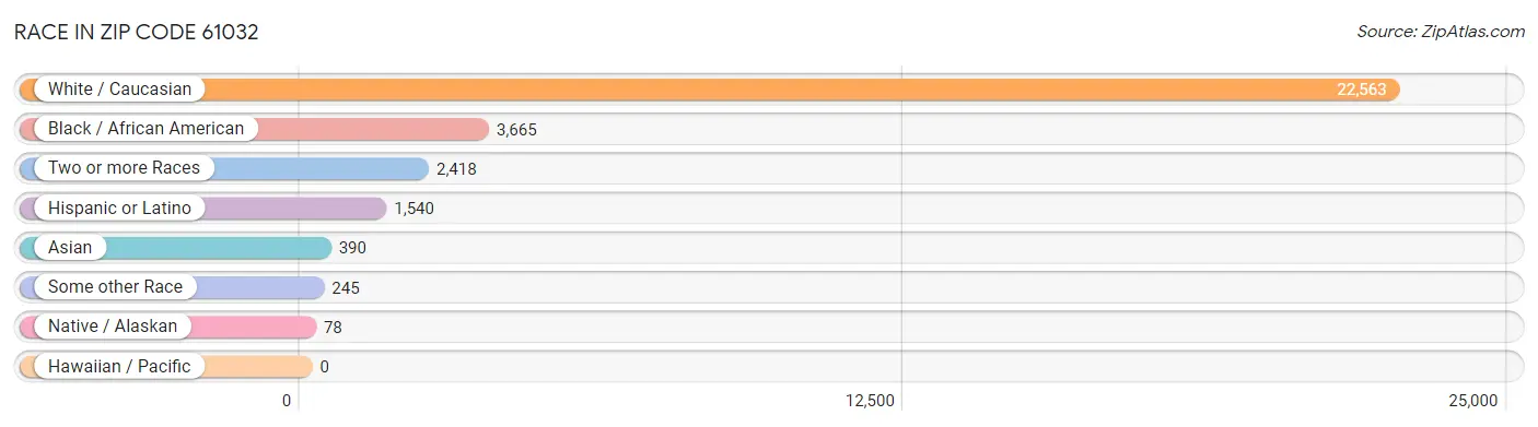 Race in Zip Code 61032