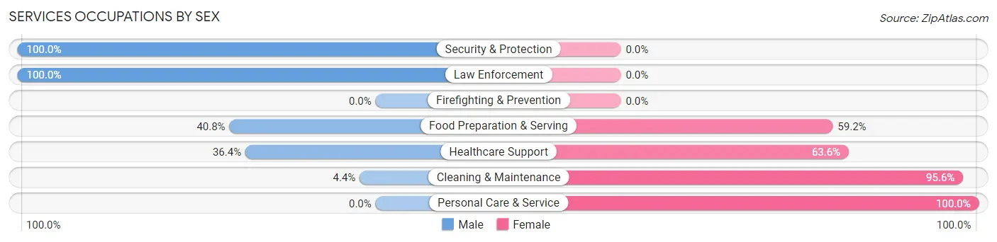 Services Occupations by Sex in Zip Code 61041