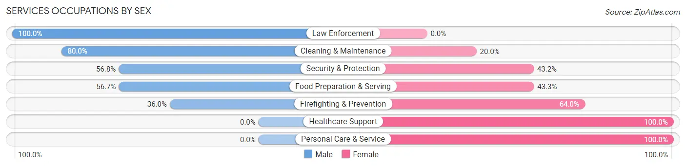 Services Occupations by Sex in Zip Code 61047