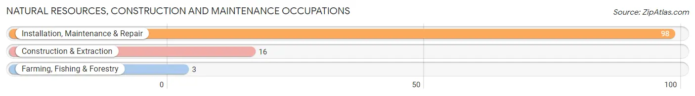 Natural Resources, Construction and Maintenance Occupations in Zip Code 61053