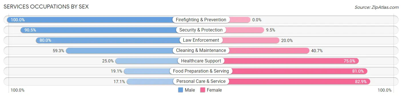 Services Occupations by Sex in Zip Code 61063