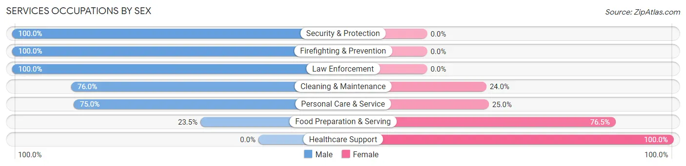Services Occupations by Sex in Zip Code 61078
