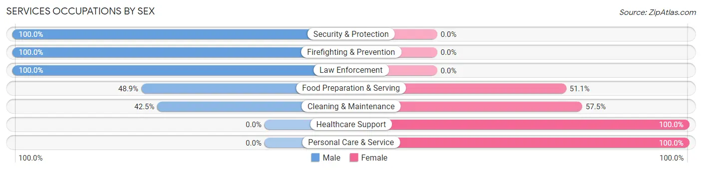 Services Occupations by Sex in Zip Code 61080
