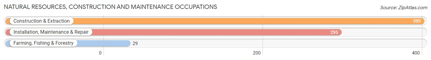 Natural Resources, Construction and Maintenance Occupations in Zip Code 61101