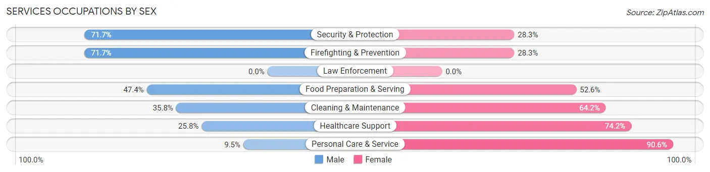 Services Occupations by Sex in Zip Code 61104