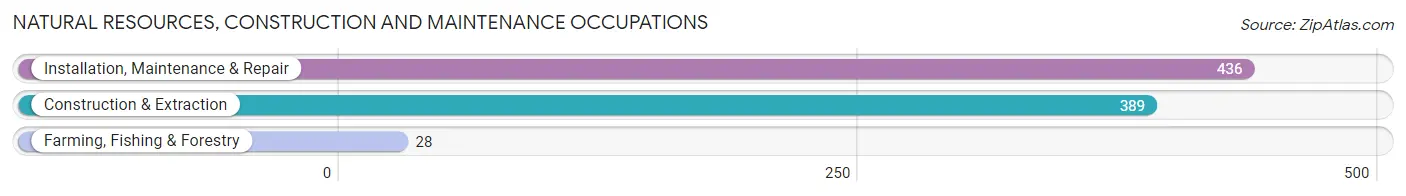 Natural Resources, Construction and Maintenance Occupations in Zip Code 61109