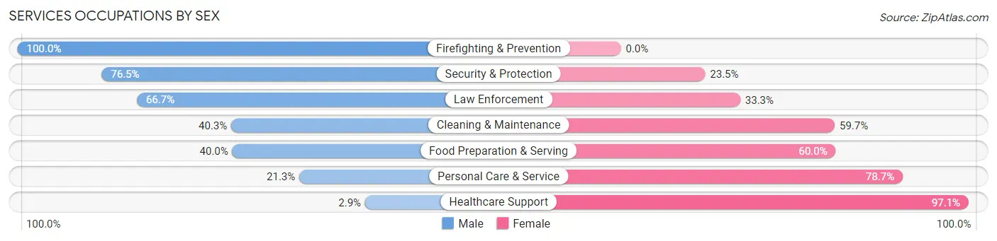 Services Occupations by Sex in Zip Code 61109
