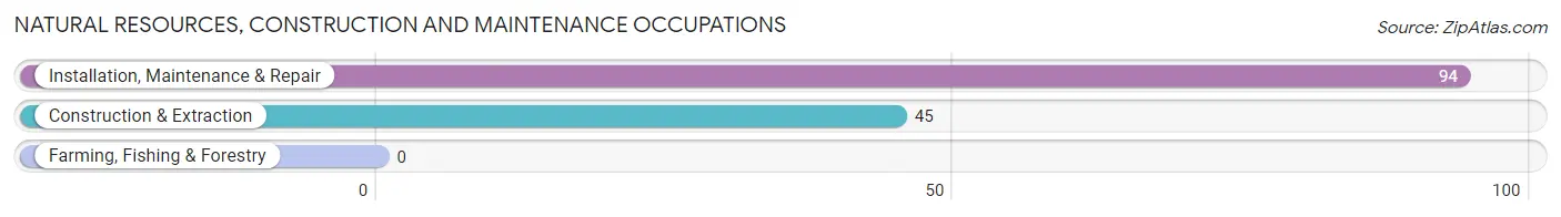 Natural Resources, Construction and Maintenance Occupations in Zip Code 61232