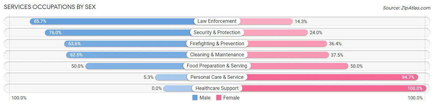 Services Occupations by Sex in Zip Code 61273