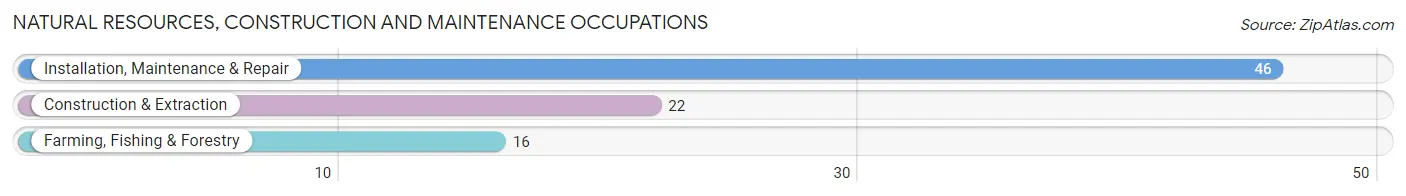 Natural Resources, Construction and Maintenance Occupations in Zip Code 61283