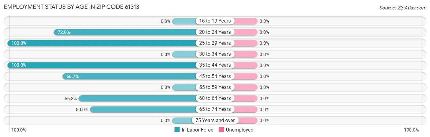 Employment Status by Age in Zip Code 61313