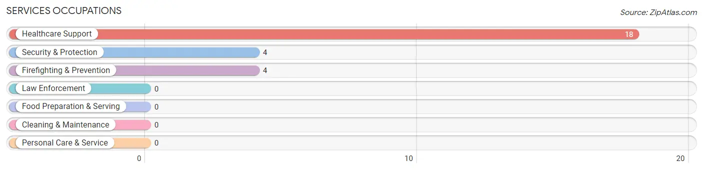 Services Occupations in Zip Code 61313