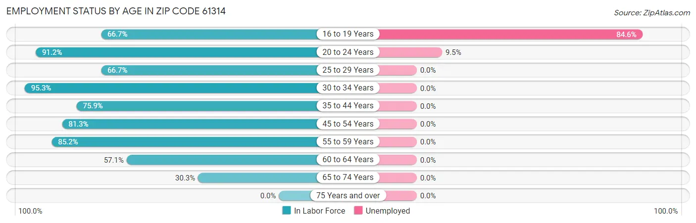 Employment Status by Age in Zip Code 61314