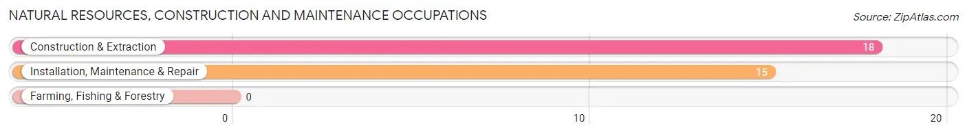 Natural Resources, Construction and Maintenance Occupations in Zip Code 61314