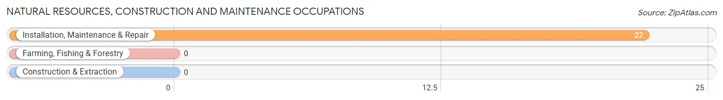 Natural Resources, Construction and Maintenance Occupations in Zip Code 61324