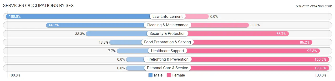 Services Occupations by Sex in Zip Code 61337