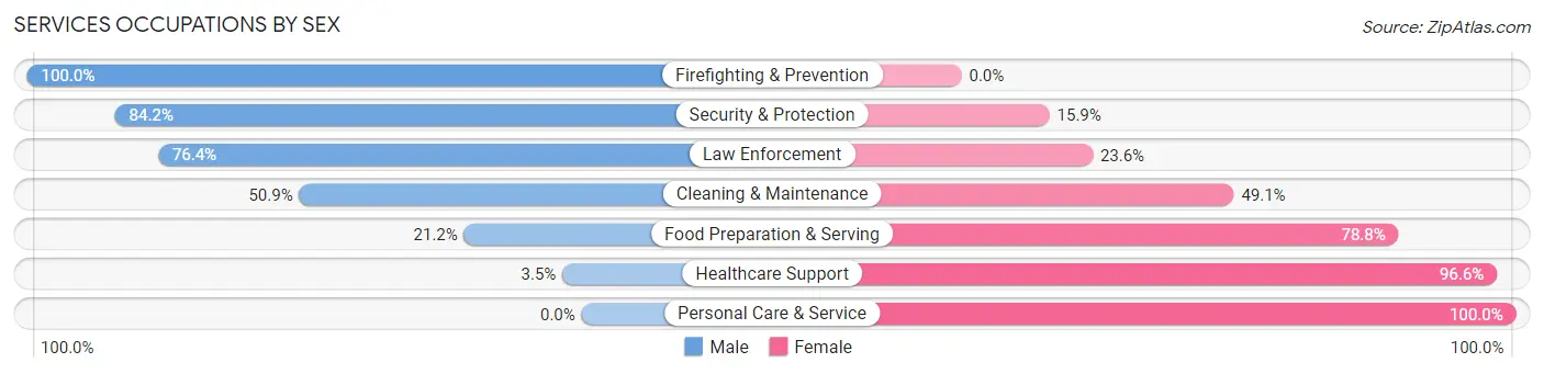 Services Occupations by Sex in Zip Code 61341
