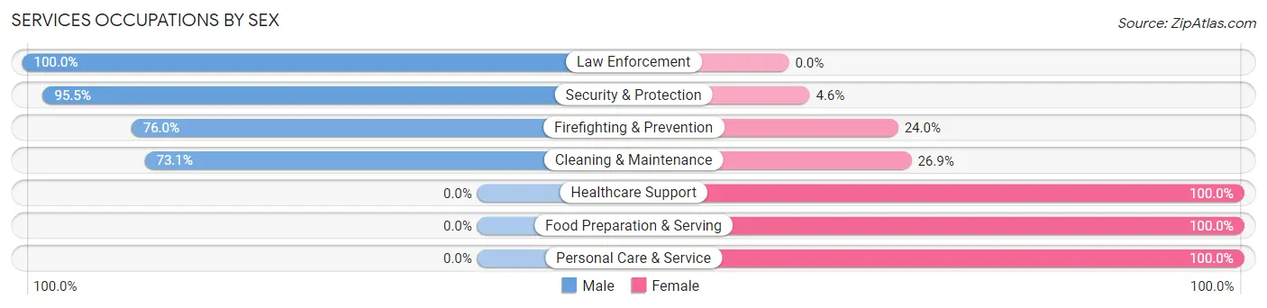 Services Occupations by Sex in Zip Code 61348