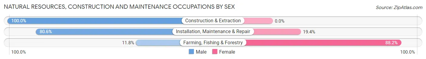 Natural Resources, Construction and Maintenance Occupations by Sex in Zip Code 61356