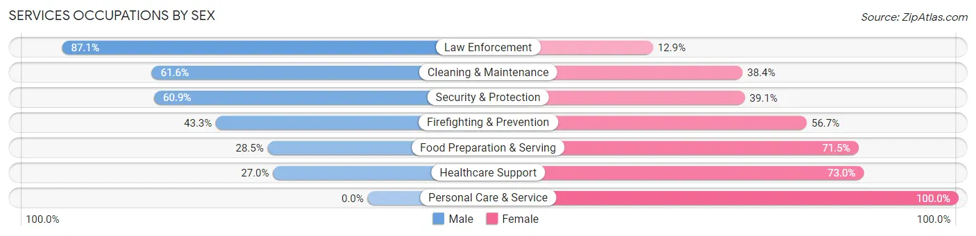 Services Occupations by Sex in Zip Code 61356