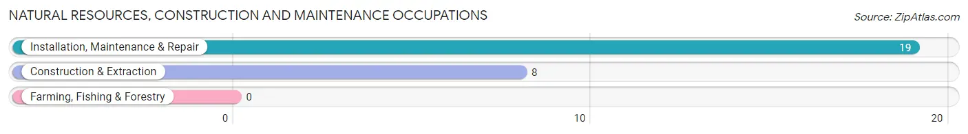 Natural Resources, Construction and Maintenance Occupations in Zip Code 61359