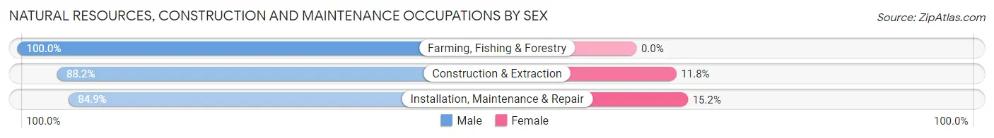 Natural Resources, Construction and Maintenance Occupations by Sex in Zip Code 61370