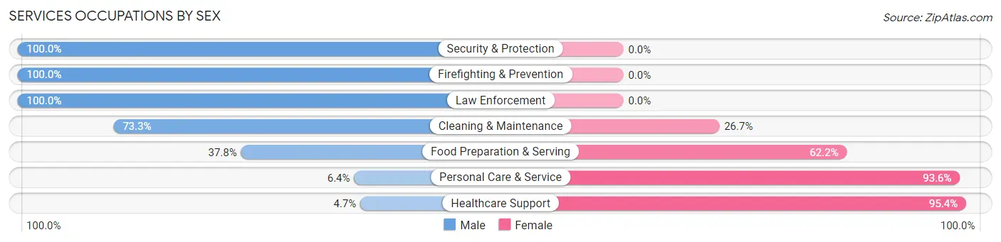 Services Occupations by Sex in Zip Code 61376