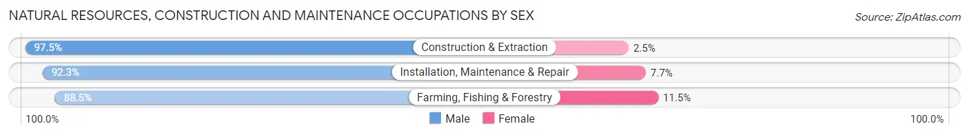Natural Resources, Construction and Maintenance Occupations by Sex in Zip Code 61401