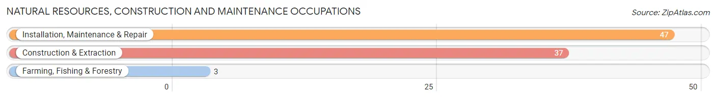 Natural Resources, Construction and Maintenance Occupations in Zip Code 61421