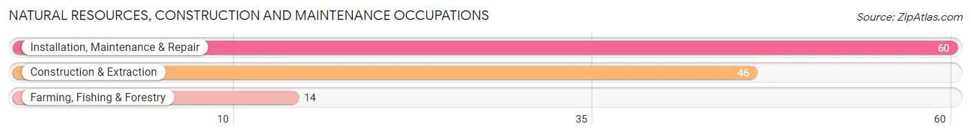 Natural Resources, Construction and Maintenance Occupations in Zip Code 61427