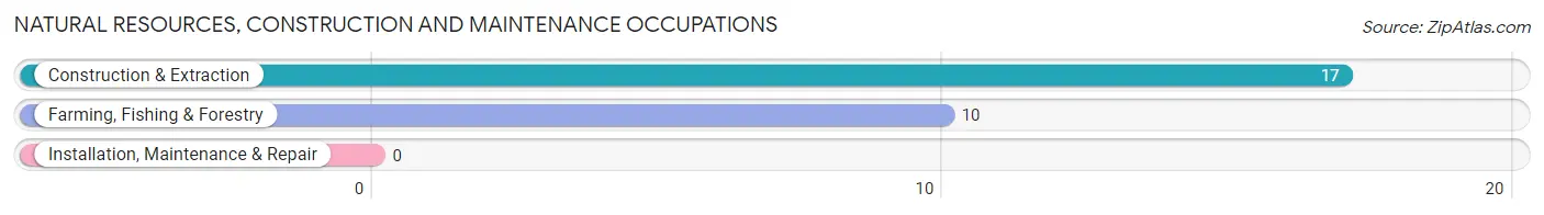 Natural Resources, Construction and Maintenance Occupations in Zip Code 61449