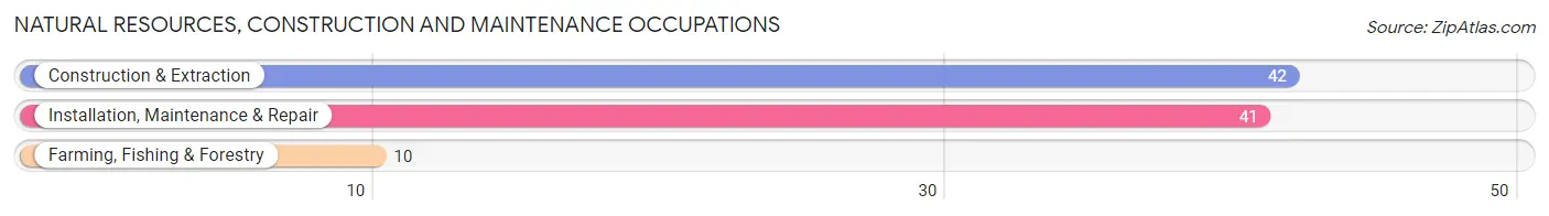 Natural Resources, Construction and Maintenance Occupations in Zip Code 61450