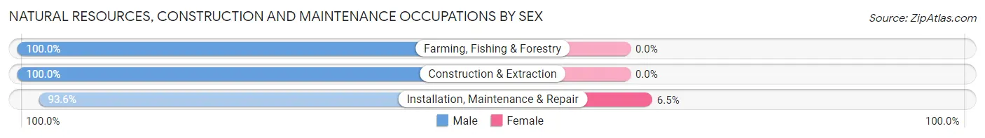 Natural Resources, Construction and Maintenance Occupations by Sex in Zip Code 61467