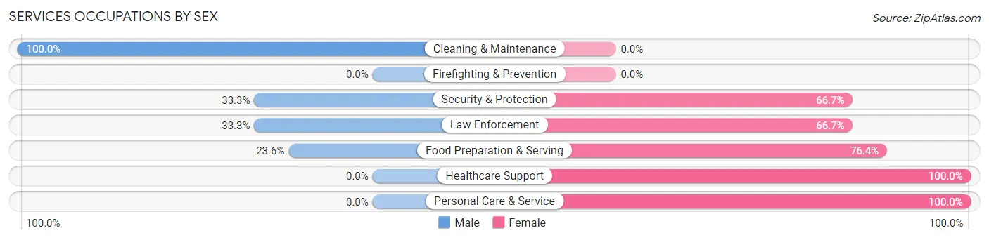 Services Occupations by Sex in Zip Code 61480