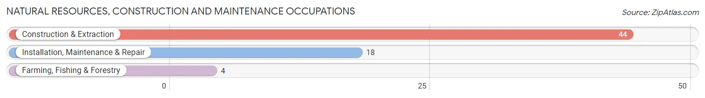 Natural Resources, Construction and Maintenance Occupations in Zip Code 61490