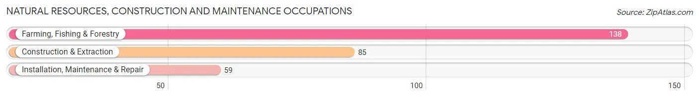 Natural Resources, Construction and Maintenance Occupations in Zip Code 61542