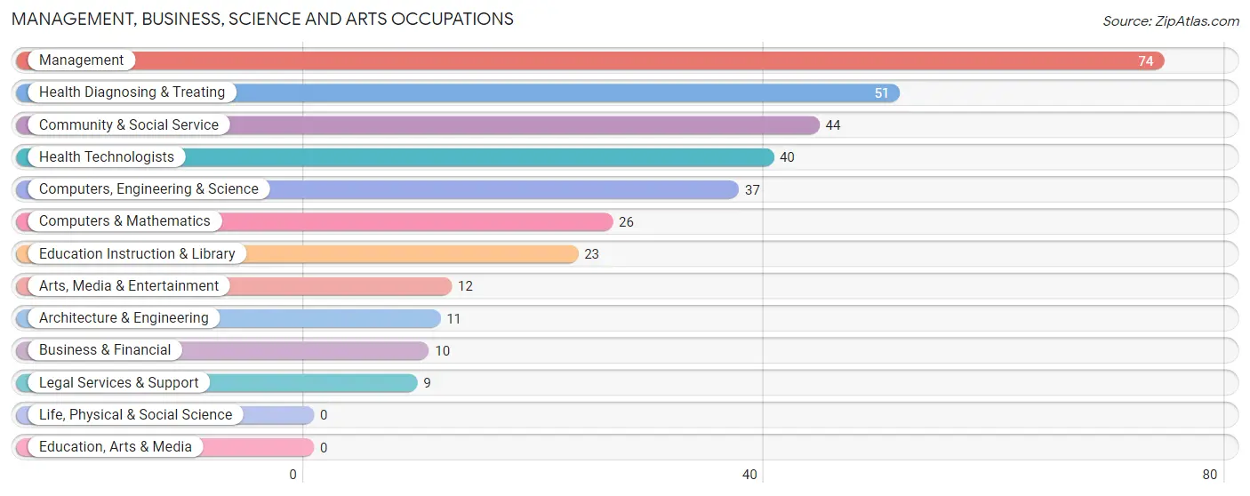 Management, Business, Science and Arts Occupations in Zip Code 61569