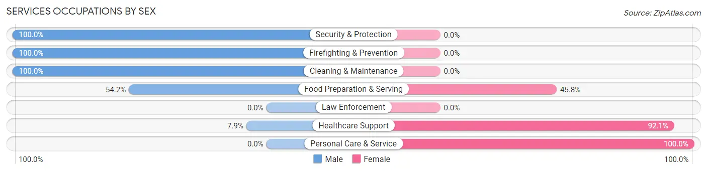Services Occupations by Sex in Zip Code 61570