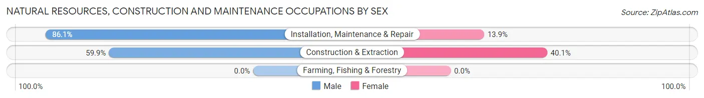 Natural Resources, Construction and Maintenance Occupations by Sex in Zip Code 61605