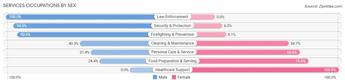 Services Occupations by Sex in Zip Code 61605