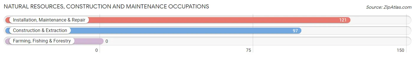 Natural Resources, Construction and Maintenance Occupations in Zip Code 61610