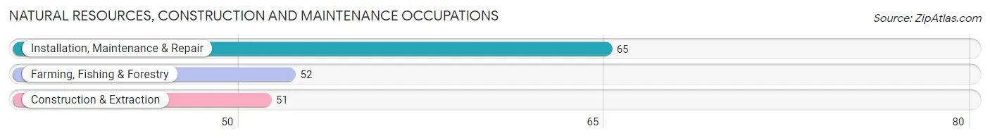 Natural Resources, Construction and Maintenance Occupations in Zip Code 61723