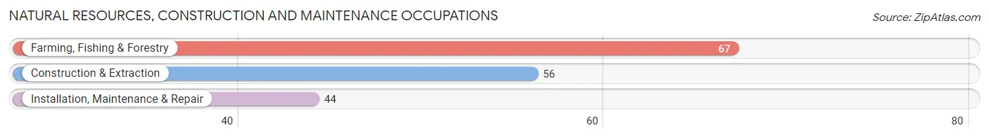 Natural Resources, Construction and Maintenance Occupations in Zip Code 61726